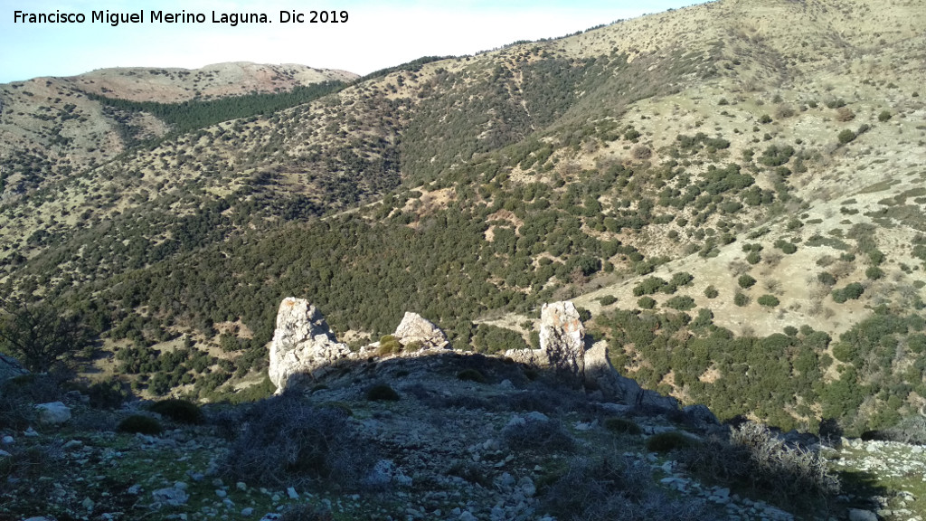 Ventisqueros - Ventisqueros. Laderas suroeste desde el Cerro Los Morales