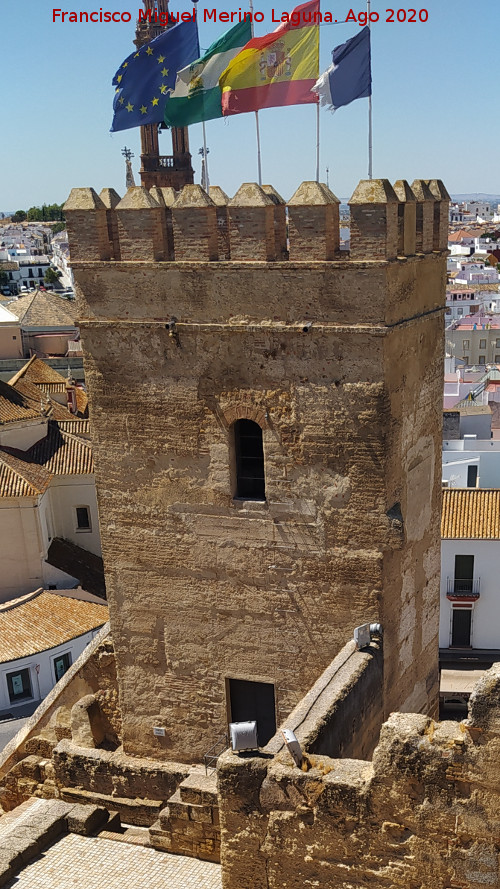 Alc�zar de la Puerta de Sevilla - Alc�zar de la Puerta de Sevilla. Torre del Homenaje