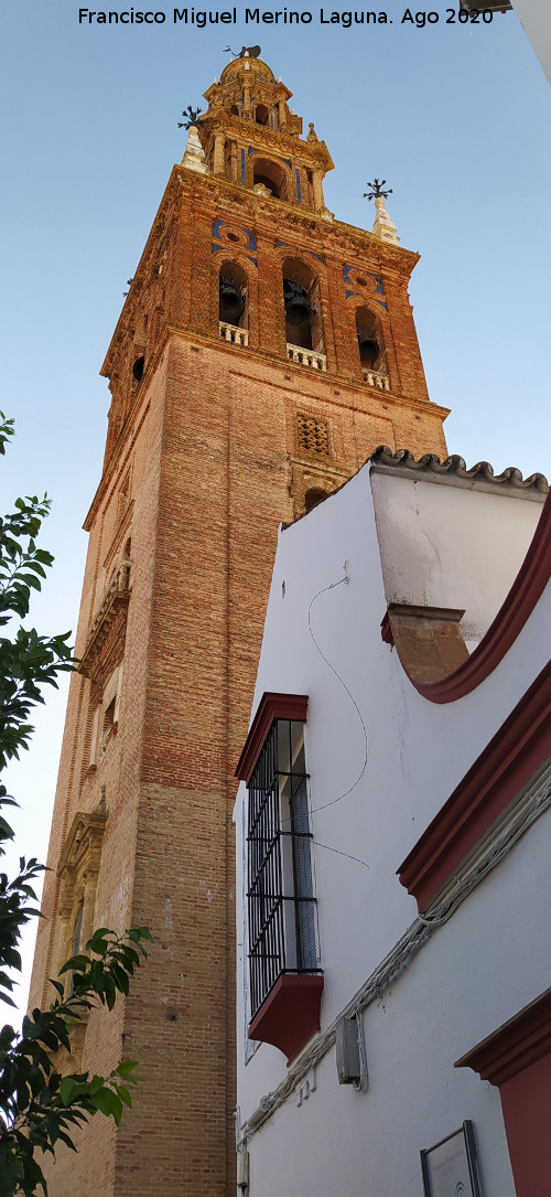 Iglesia de San Pedro - Iglesia de San Pedro. Campanario