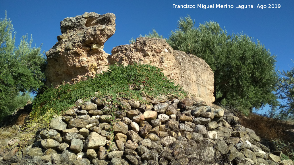 Castillo de Mogn - Castillo de Mogn. 