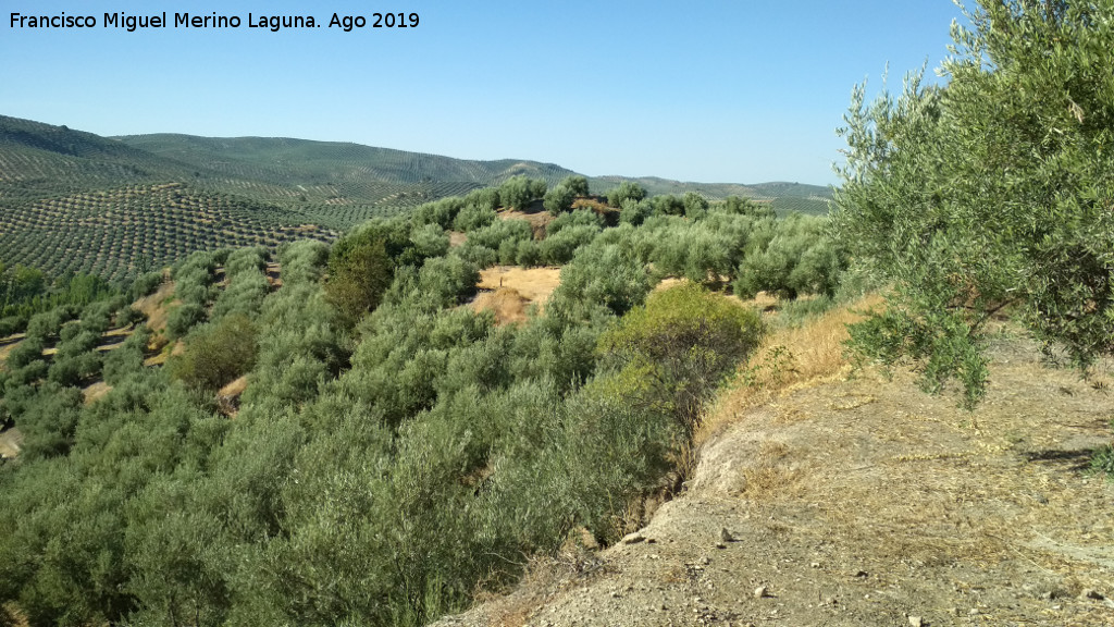 Castillo de Mogn - Castillo de Mogn. Monte del castillo