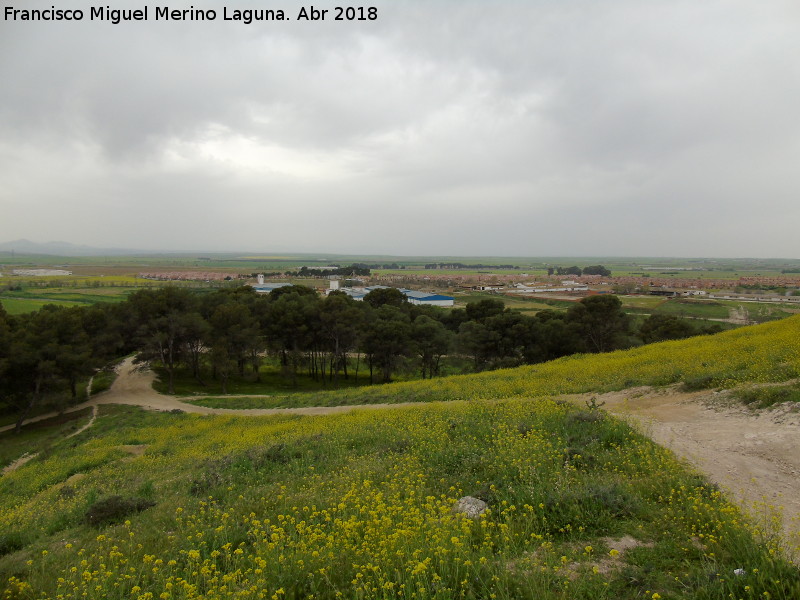 Castillo de Barcience - Castillo de Barcience. Vistas