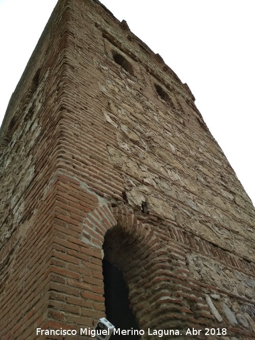 Torre de la Vela - Torre de la Vela. 