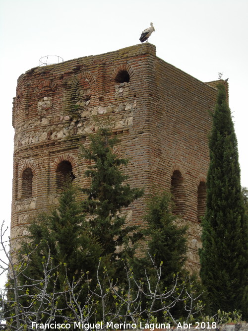 Torre de la Vela - Torre de la Vela. 