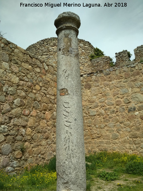 Castillo de la Coracera. Columna del Patio - Castillo de la Coracera. Columna del Patio. 