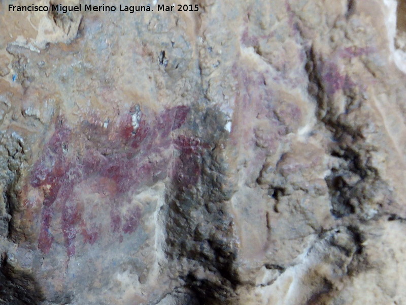 Pinturas rupestres de la Cueva de los Herreros Grupo XI - Pinturas rupestres de la Cueva de los Herreros Grupo XI. Cnidos inferiores derechos