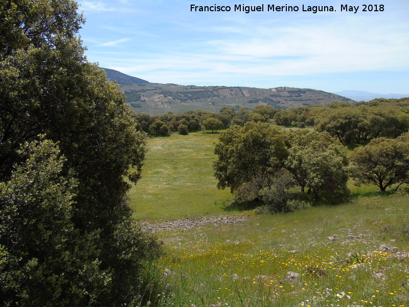 Prado de la Espiral - Prado de la Espiral. Vistas desde el Dolmen del Zoomorfo