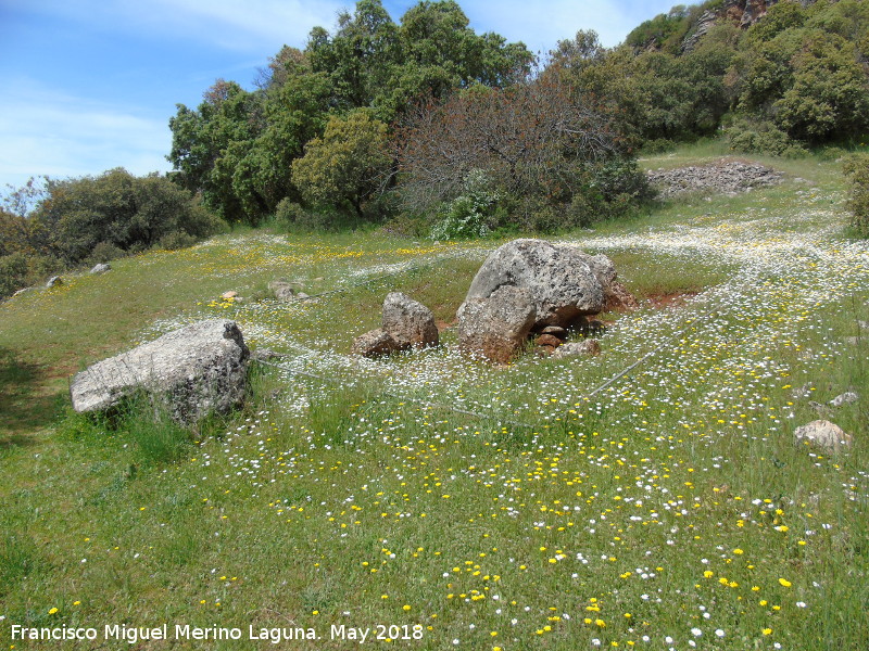 Dolmen del Zoomorfo - Dolmen del Zoomorfo. 