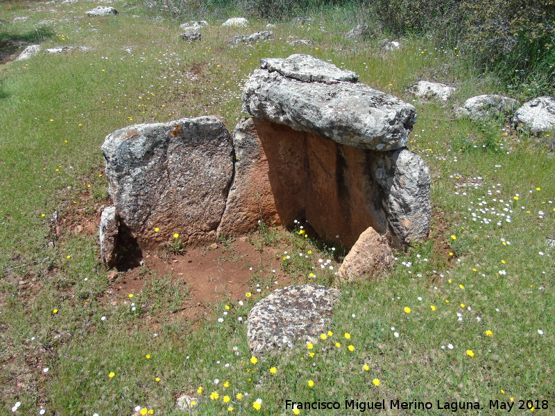 Dolmen Partido - Dolmen Partido. 