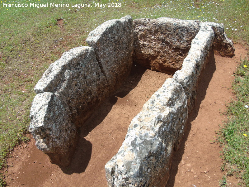 Dolmen Central Destapado - Dolmen Central Destapado. 