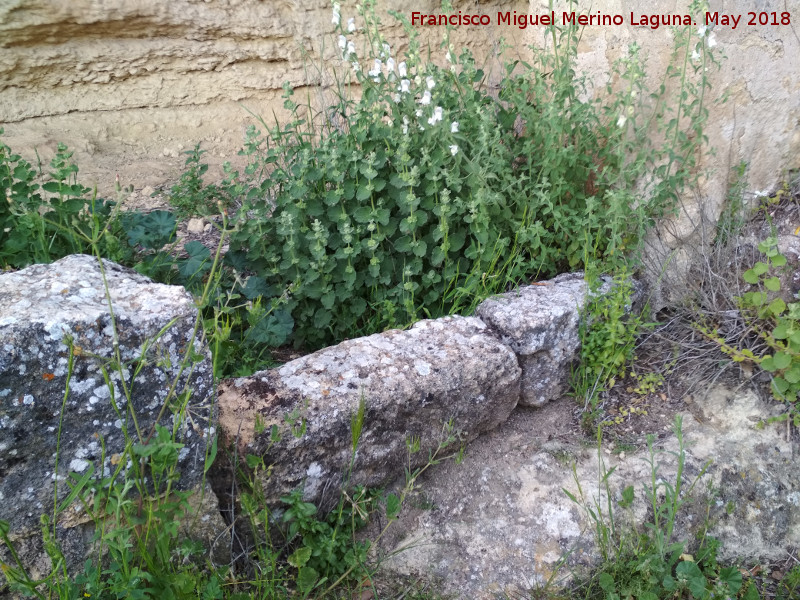 Aprisco de la Pea de los Gitanos - Aprisco de la Pea de los Gitanos. Tranco de la puerta