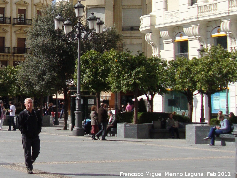 Plaza de las Tendillas - Plaza de las Tendillas. 