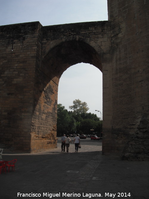 Torre de la Malmuerta - Torre de la Malmuerta. Arco