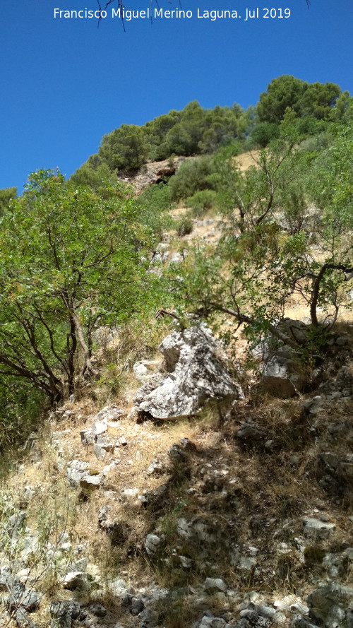 Petroglifos de la Cueva de la Tinaja - Petroglifos de la Cueva de la Tinaja. Cueva