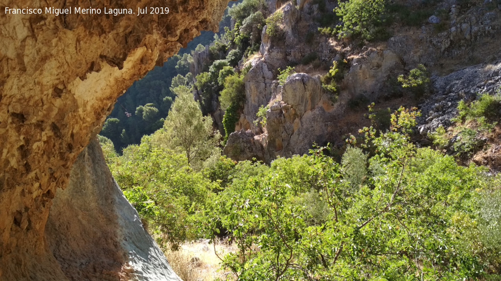 Petroglifos rupestres del Abrigo de la Tinaja IV - Petroglifos rupestres del Abrigo de la Tinaja IV. Vistas