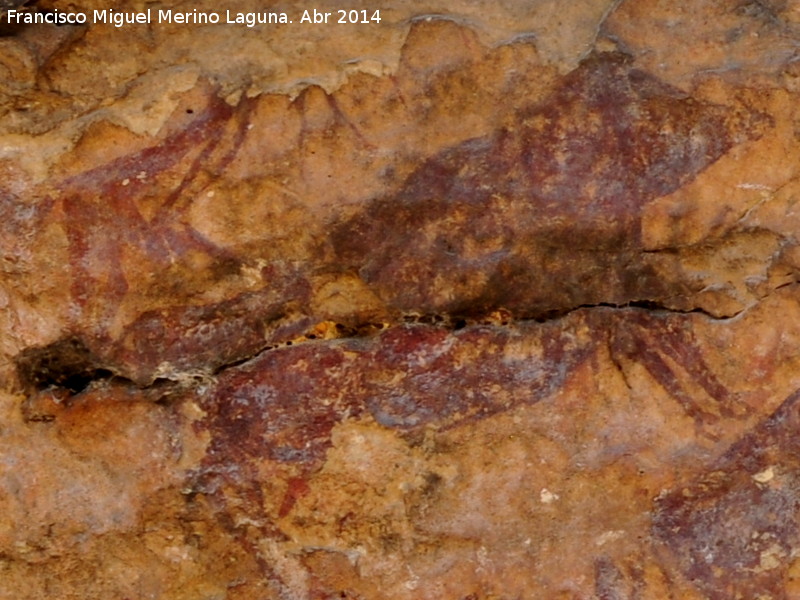 Pinturas rupestres de la Cueva del Engarbo I. Grupo II. Panel VII - Pinturas rupestres de la Cueva del Engarbo I. Grupo II. Panel VII. 