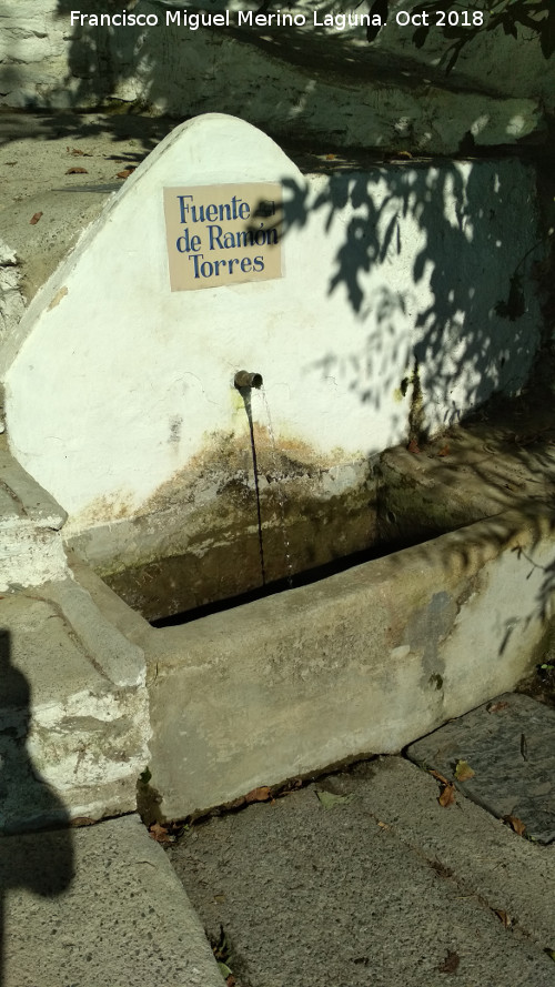 Fuente de Ramn Torres - Fuente de Ramn Torres. 