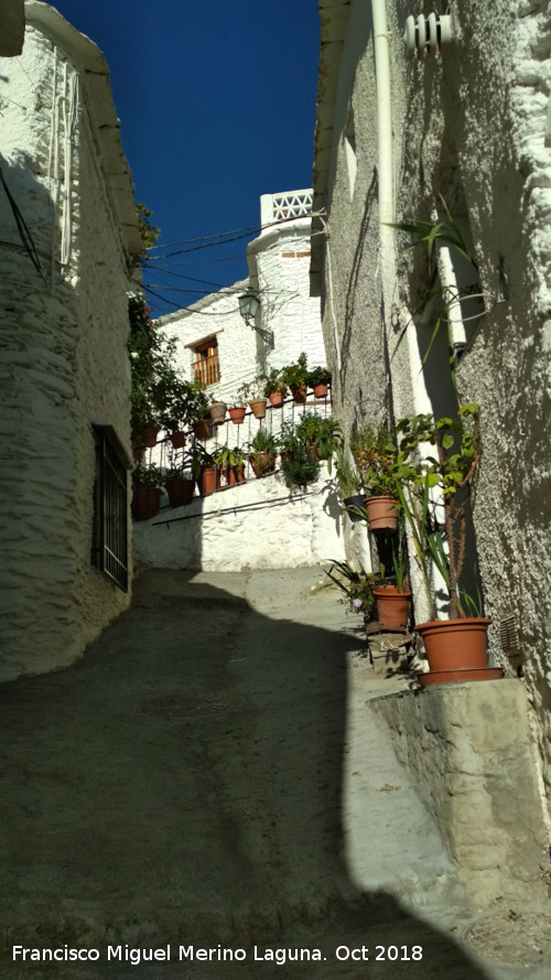 Calle Fuente Ciprs - Calle Fuente Ciprs. 