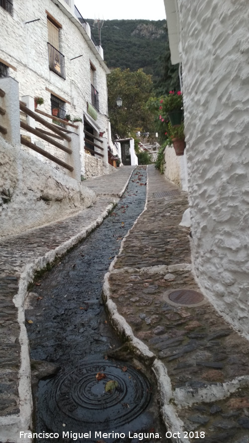 Calle Vernica - Calle Vernica. 