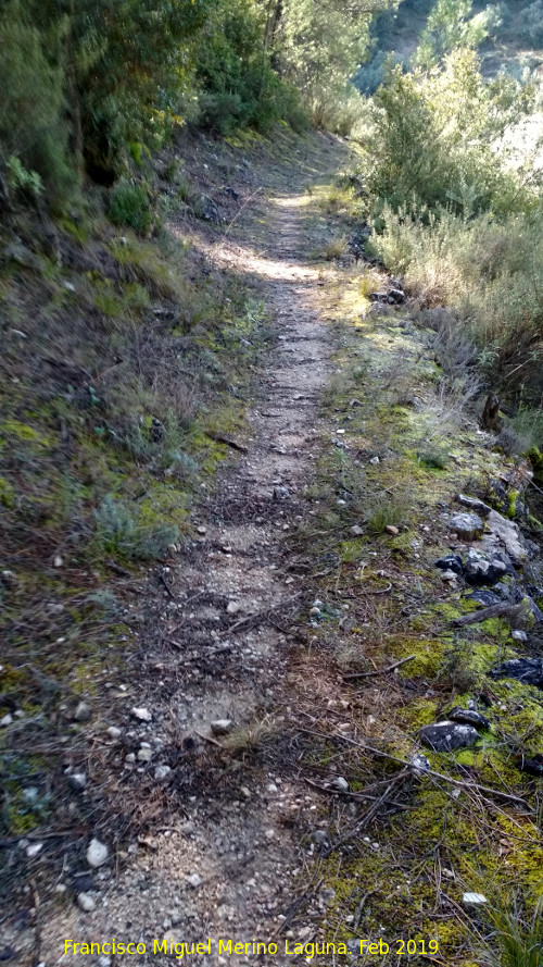 Camino del Chorren - Camino del Chorren. 