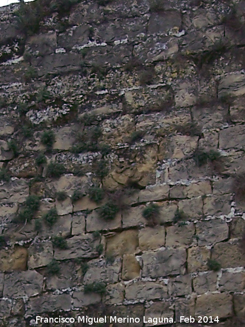 Torren Norte de la Puerta de Jan - Torren Norte de la Puerta de Jan. Escudo de Len en la Torre Norte de la Puerta de Jan