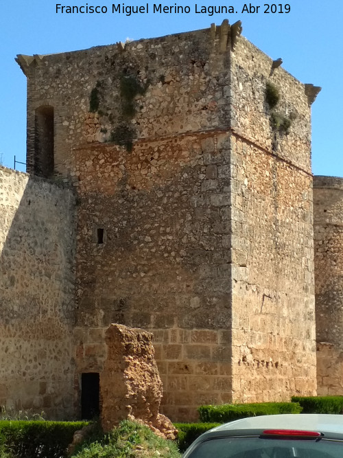 Castillo de los Guzmanes. Torre Cuadrangular Sur - Castillo de los Guzmanes. Torre Cuadrangular Sur. 