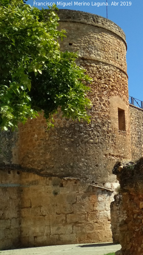 Castillo de los Guzmanes. Torre Circular Sur - Castillo de los Guzmanes. Torre Circular Sur. 