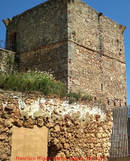 Castillo de los Guzmanes. Torre Sureste - Castillo de los Guzmanes. Torre Sureste. 