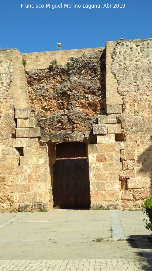 Castillo de los Guzmanes. Puerta del Castillo - Castillo de los Guzmanes. Puerta del Castillo. 