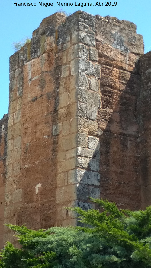 Muralla de Niebla. Torre Norte VI - Muralla de Niebla. Torre Norte VI. 