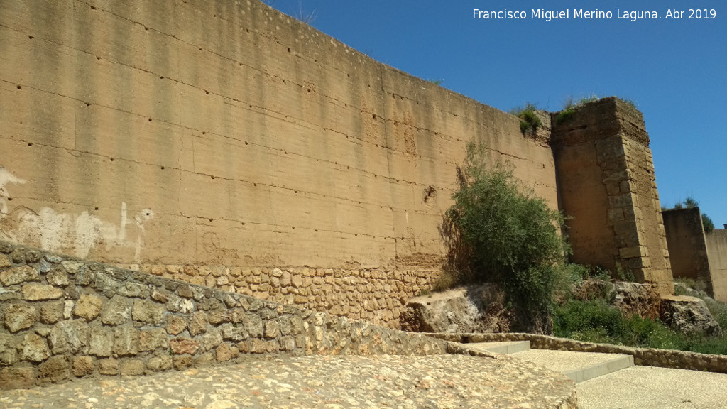 Muralla de Niebla. Torre Sur XV - Muralla de Niebla. Torre Sur XV. Lienzo de muralla