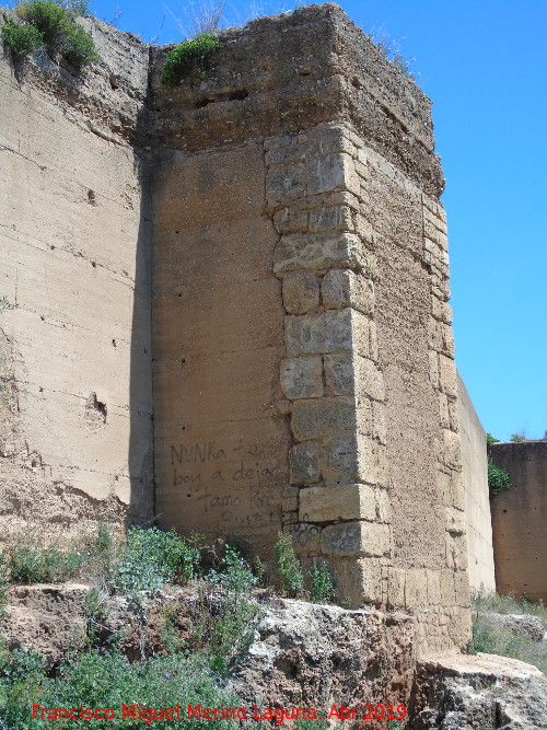 Muralla de Niebla. Torre Sur XV - Muralla de Niebla. Torre Sur XV. 