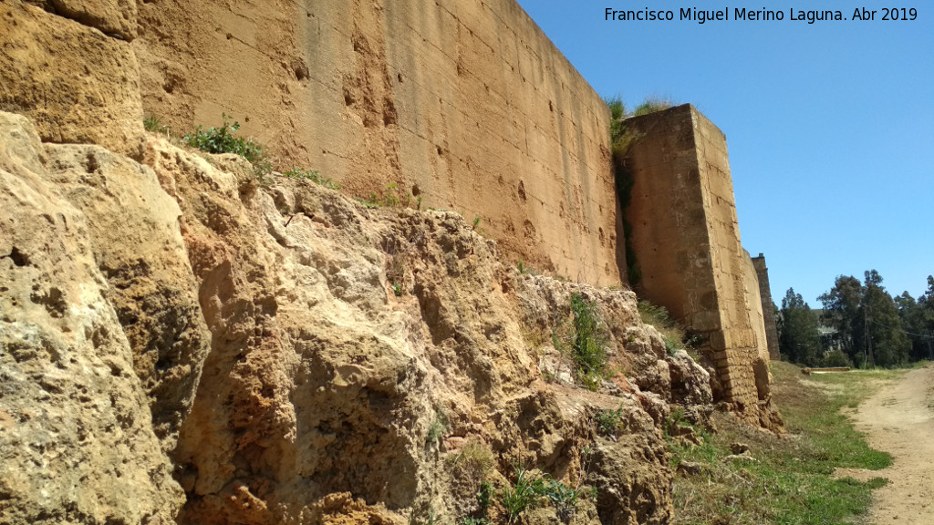 Muralla de Niebla. Torre Sur XIV - Muralla de Niebla. Torre Sur XIV. Lienzo de muralla