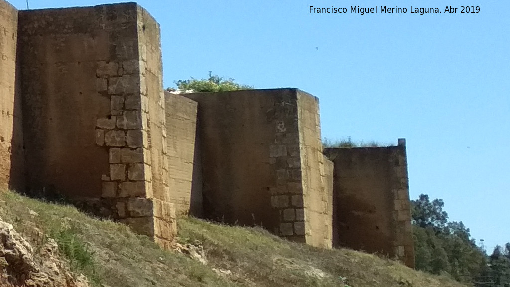 Muralla de Niebla. Torre Sur XIII - Muralla de Niebla. Torre Sur XIII. El ltimo de la foto