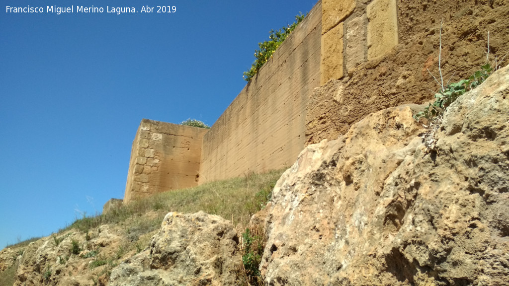 Muralla de Niebla. Torre Sur XII - Muralla de Niebla. Torre Sur XII. Lienzo de muralla