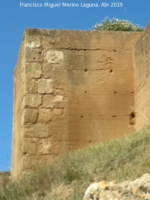 Muralla de Niebla. Torre Sur XII - Muralla de Niebla. Torre Sur XII. 