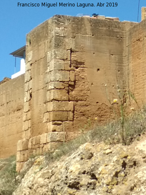 Muralla de Niebla. Torre Sur XI - Muralla de Niebla. Torre Sur XI. 