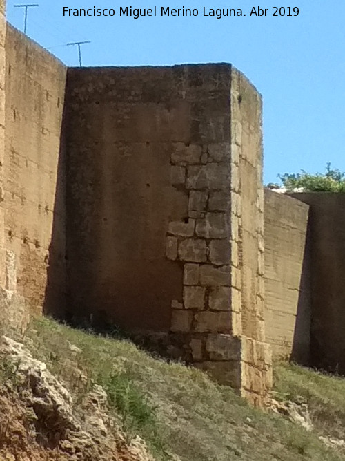 Muralla de Niebla. Torre Sur XI - Muralla de Niebla. Torre Sur XI. 