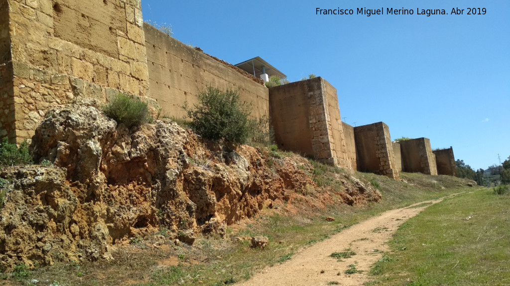 Muralla de Niebla. Torre Sur X - Muralla de Niebla. Torre Sur X. Situacin