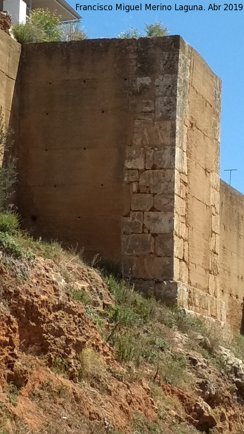 Muralla de Niebla. Torre Sur X - Muralla de Niebla. Torre Sur X. 