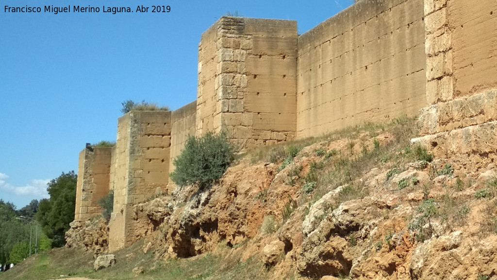 Muralla de Niebla. Torre Sur IX - Muralla de Niebla. Torre Sur IX. Situacin