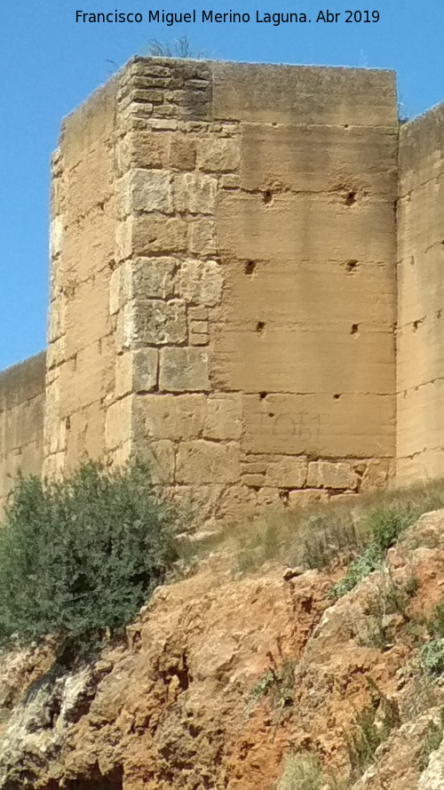 Muralla de Niebla. Torre Sur IX - Muralla de Niebla. Torre Sur IX. 