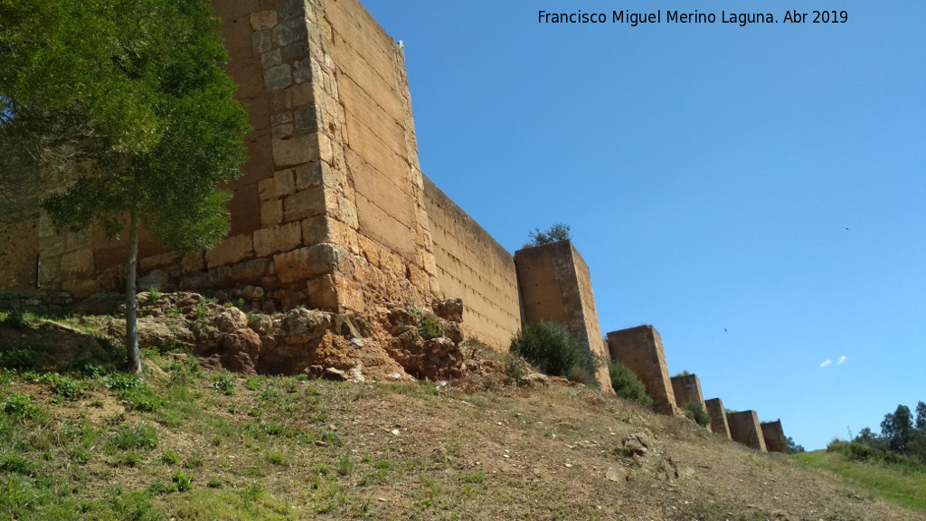 Muralla de Niebla. Torre Sur VIII - Muralla de Niebla. Torre Sur VIII. Situacin