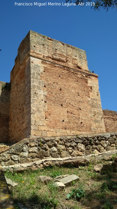 Muralla de Niebla. Torre Sur VII - Muralla de Niebla. Torre Sur VII. 