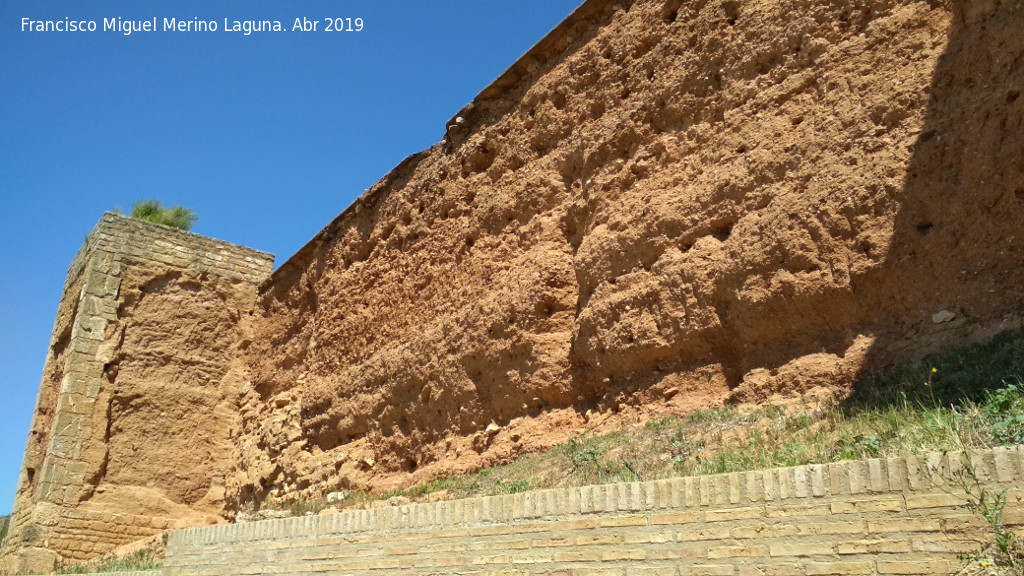 Muralla de Niebla. Torre Sur IV - Muralla de Niebla. Torre Sur IV. 