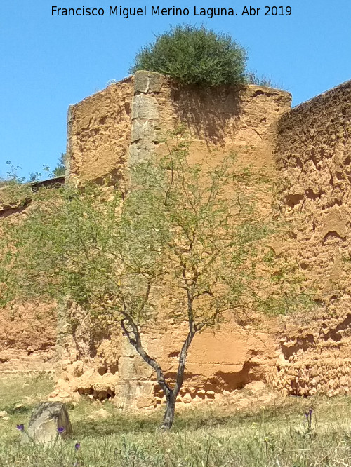 Muralla de Niebla. Torre Sur I - Muralla de Niebla. Torre Sur I. 