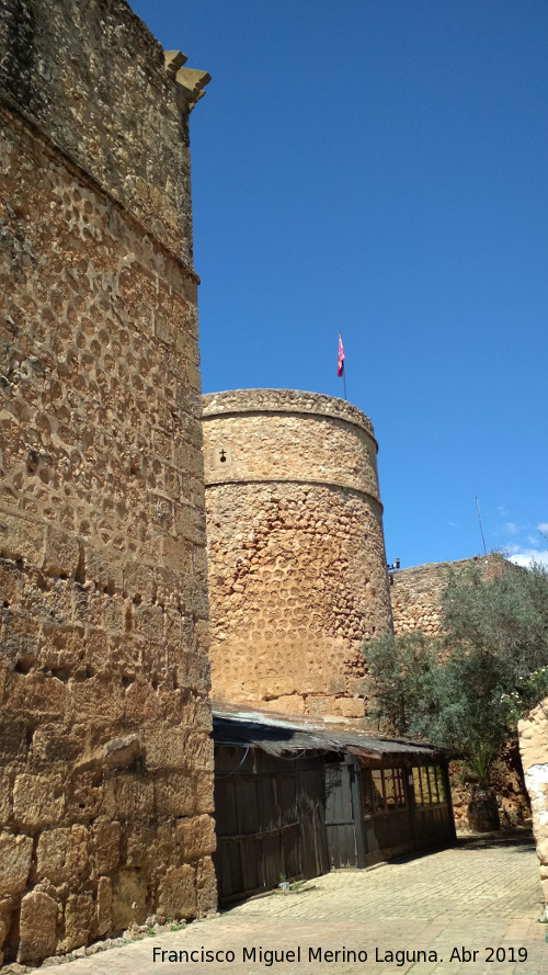 Castillo de los Guzmanes. Torre Circular Este - Castillo de los Guzmanes. Torre Circular Este. 