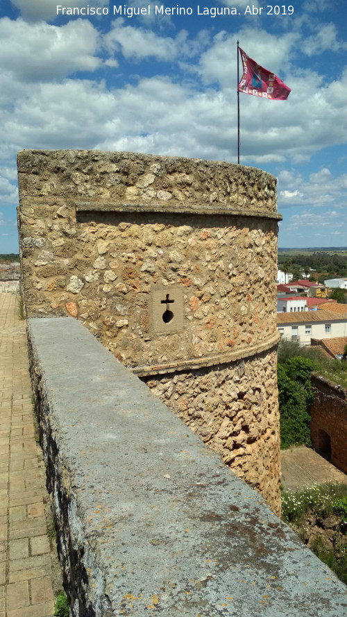 Castillo de los Guzmanes. Torre Circular Este - Castillo de los Guzmanes. Torre Circular Este. 