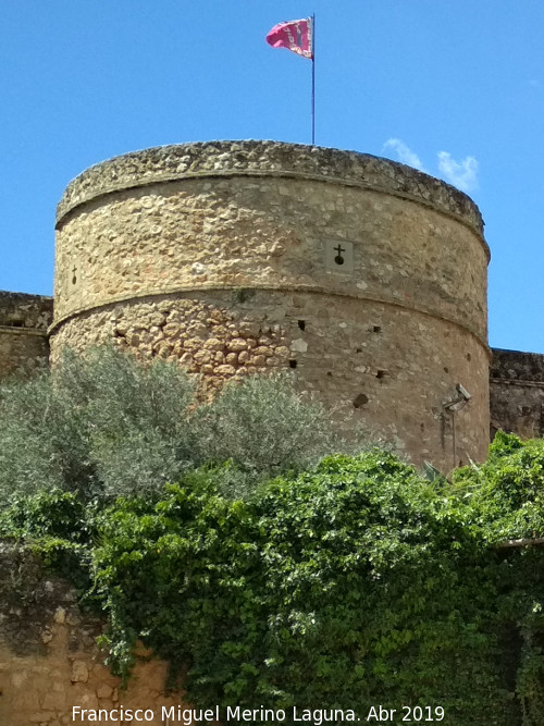 Castillo de los Guzmanes. Torre Circular Este - Castillo de los Guzmanes. Torre Circular Este. 