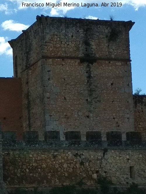 Castillo de los Guzmanes. Torre Cuadrangular Norte - Castillo de los Guzmanes. Torre Cuadrangular Norte. 
